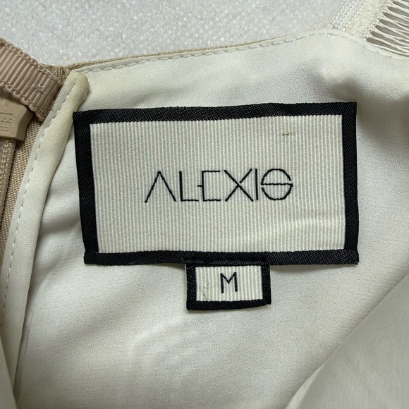 Alexis Marilia Embroidered Mini Dress tan - Picture 11 of 14